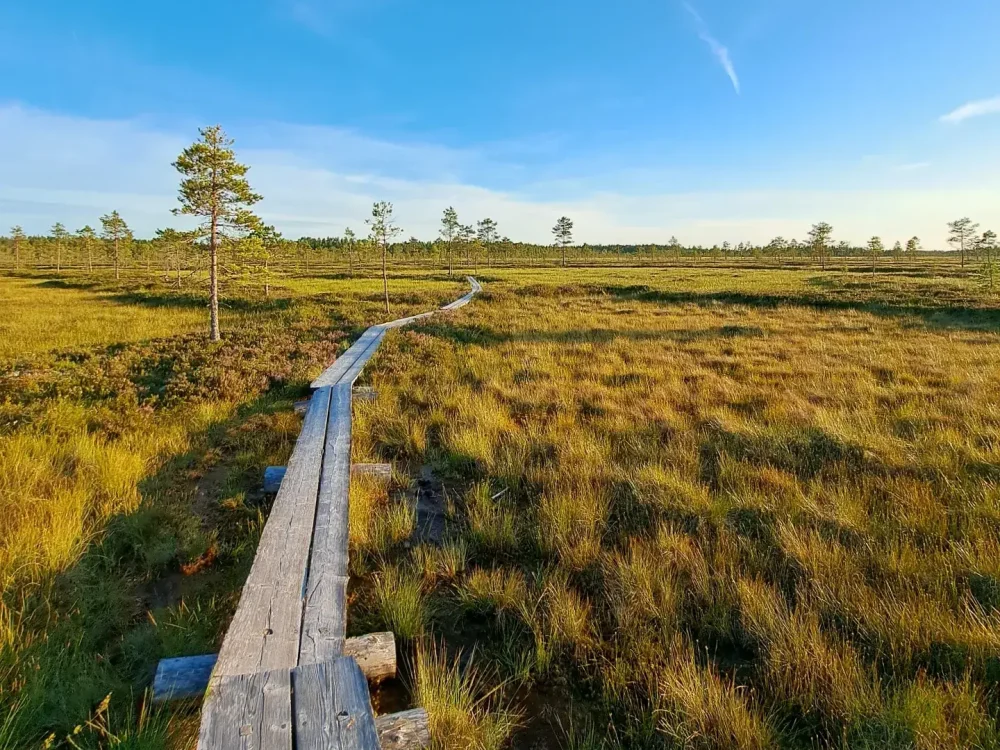 Huipuilla Outdoors retkeilykurssi levaneva